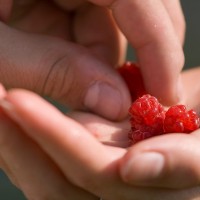 Contributor Cultuer_Feminine Leadership_Jennifer Russelel